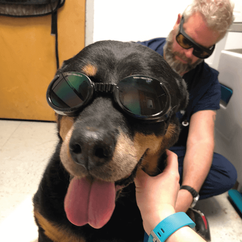 Laser Therapy