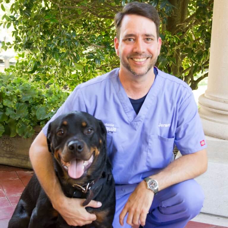 Jeremy Prytania Veterinary Hospital