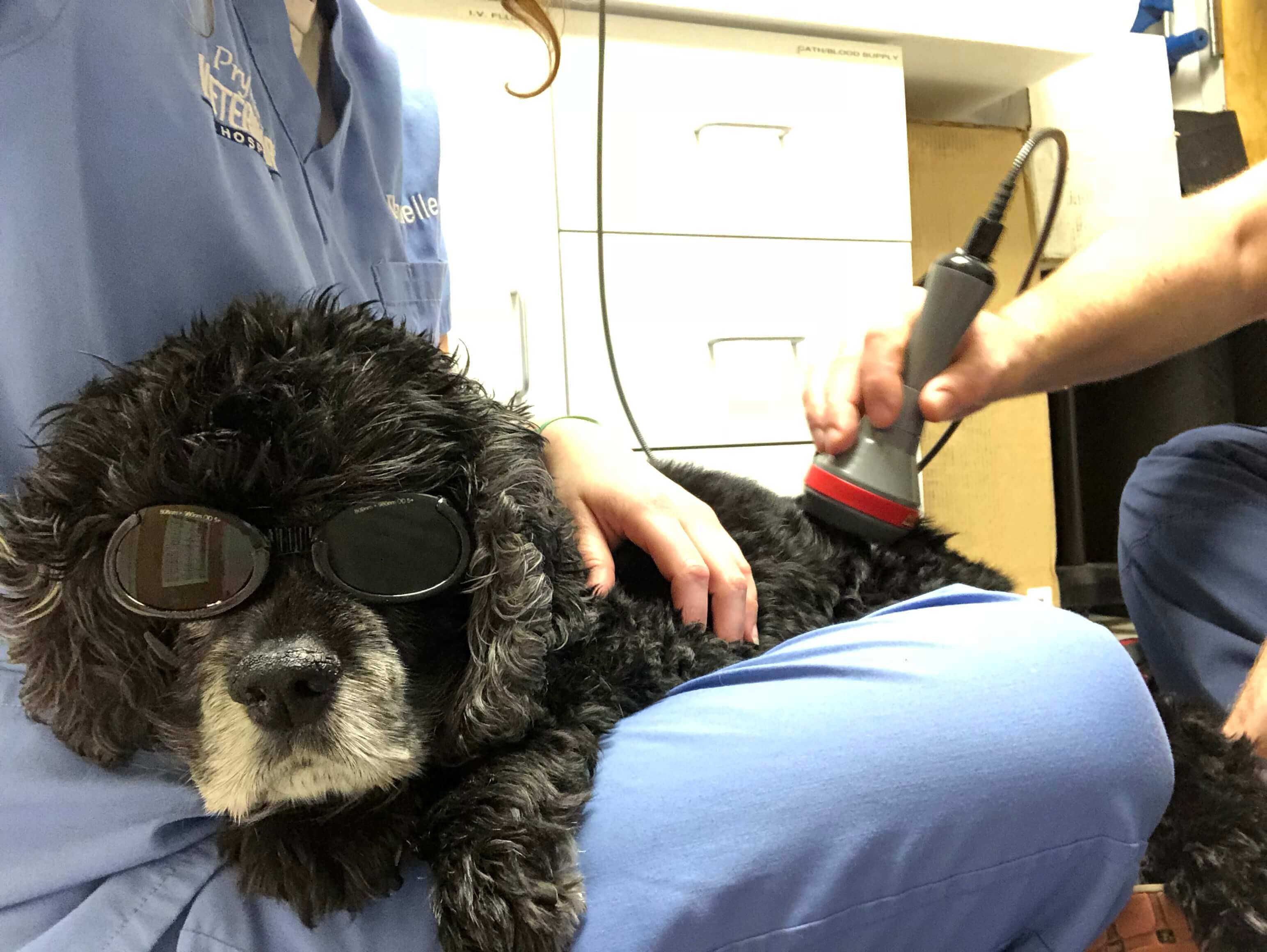 Laser Therapy