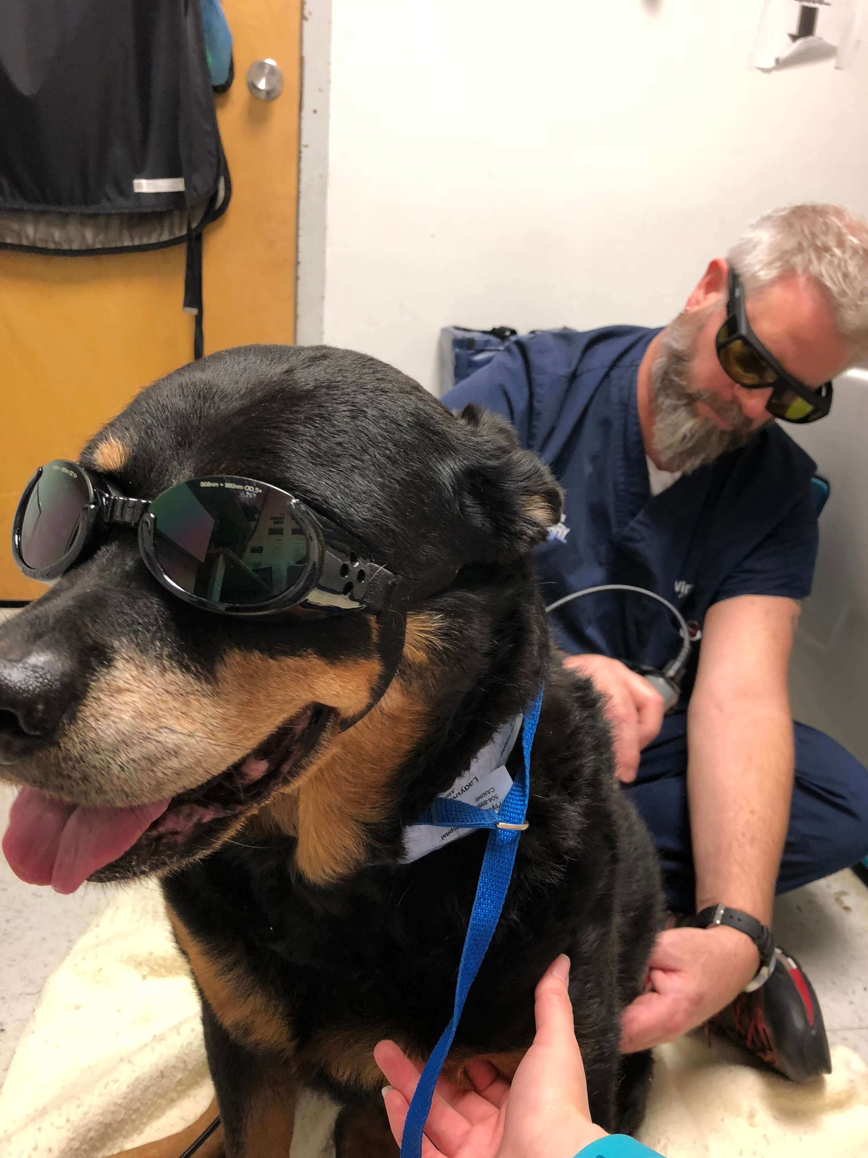 Laser Therapy