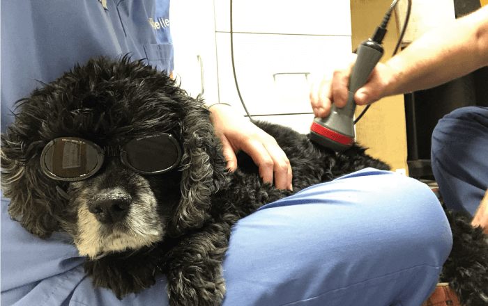 Laser Therapy